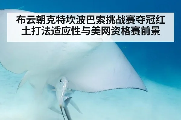 布云朝克特坎波巴索挑战赛夺冠红土打法适应性与美网资格赛前景